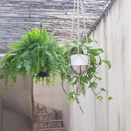 Casa Sole *